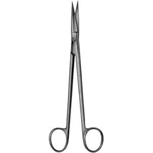 Dissecting scissors 	 